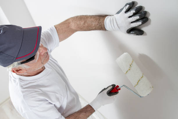 Best Mold Damage Restoration  in Dawson, GA