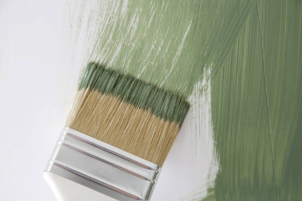 Best Emergency Mold Remediation  in Dawson, GA