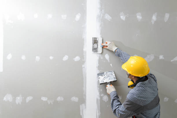 Best Post-Construction Mold Inspection  in Dawson, GA