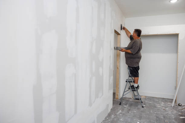 Best Mold Damage Restoration  in Dawson, GA