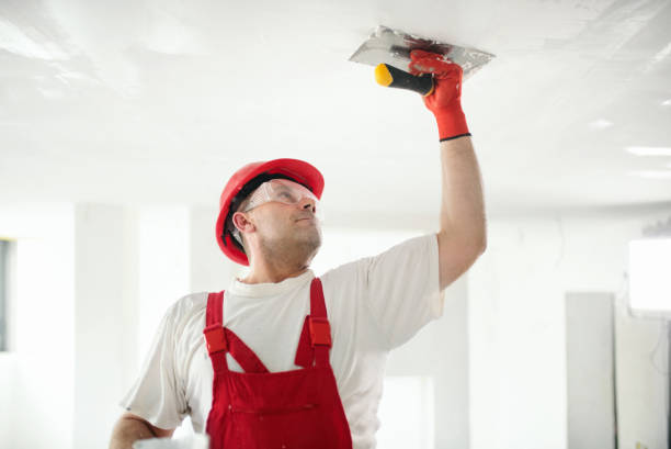 Best Emergency Mold Remediation  in Dawson, GA