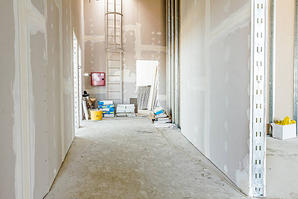 Best Mold Remediation for Healthcare Facilities  in Dawson, GA