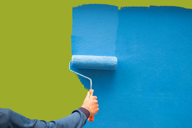 Best Basement Mold Removal  in Dawson, GA